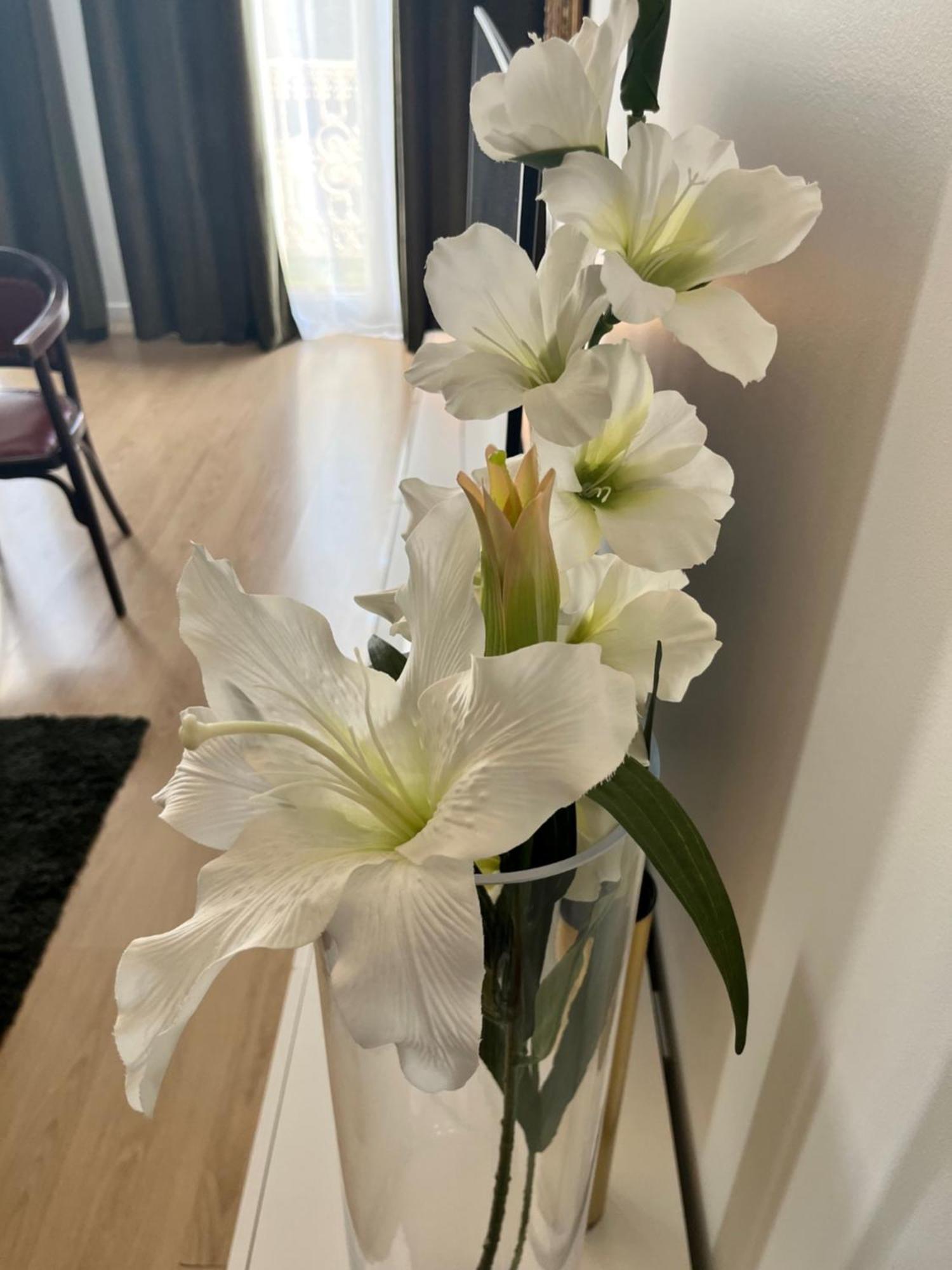 Vigne Et Mer-Spacieux Appartement Haussmannien-2Chambres-Wifi เบซิเยร์ ภายนอก รูปภาพ
